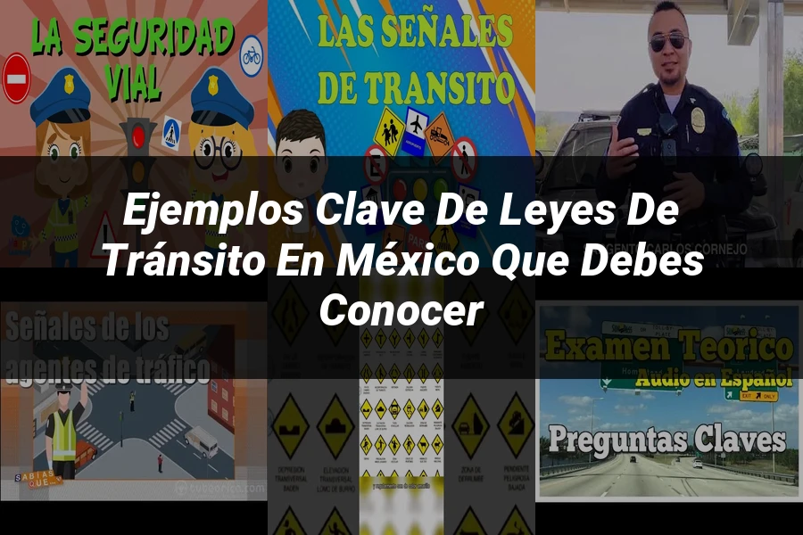 "Ejemplos Clave de Leyes de Tránsito en México que Debes Conocer"