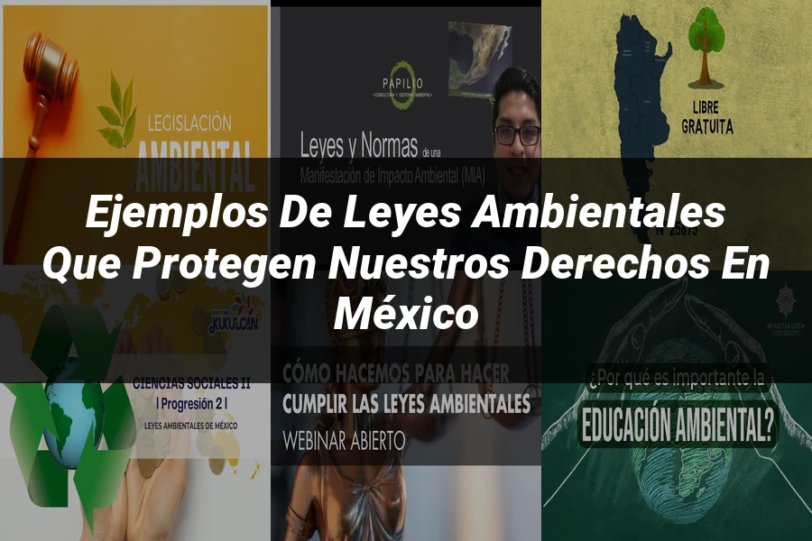"Ejemplos de Leyes Ambientales que Protegen Nuestros Derechos en México"