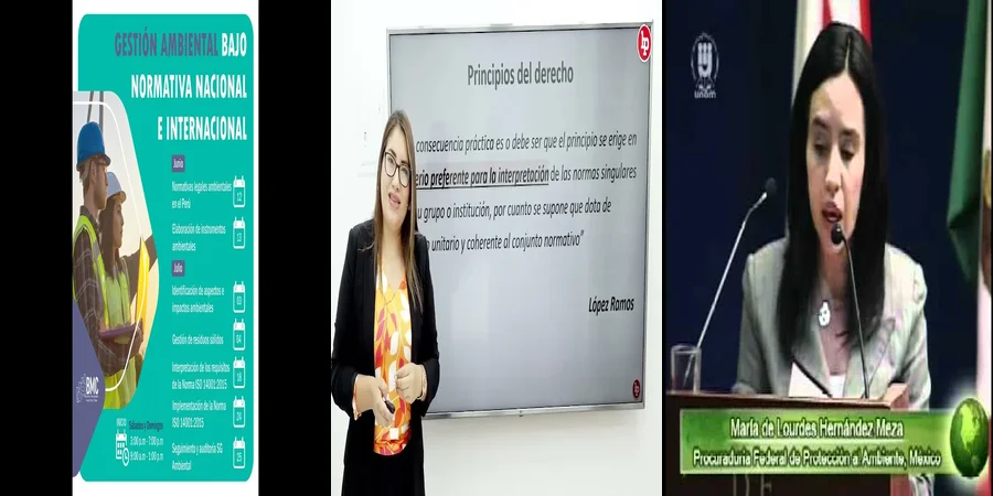 "Ejemplos de Leyes Ambientales que Protegen Nuestros Derechos en México"