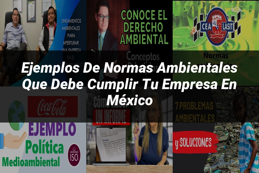 "Ejemplos de Normas Ambientales que Debe Cumplir Tu Empresa en México"