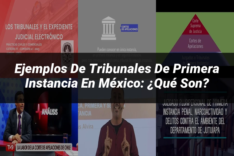 "Ejemplos de Tribunales de Primera Instancia en México: ¿Qué Son?"