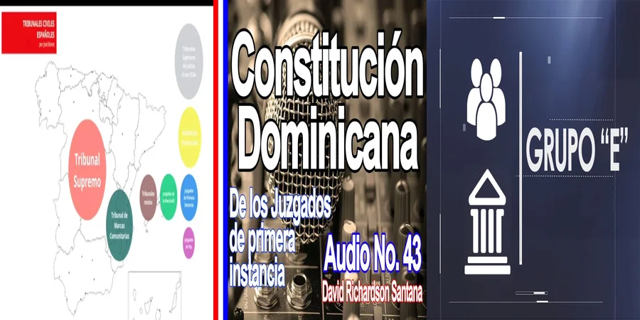 "Ejemplos de Tribunales de Primera Instancia en México: ¿Qué Son?"