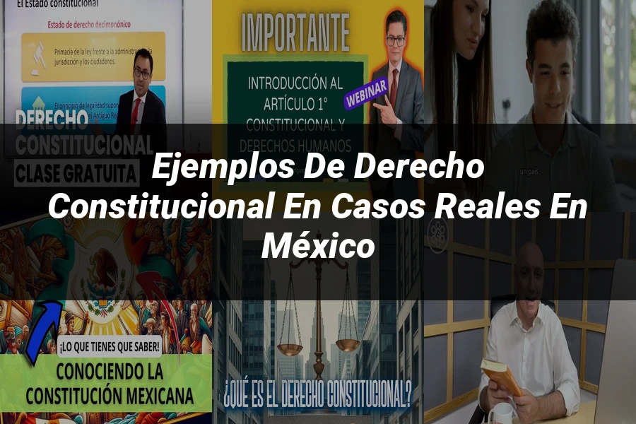 "Ejemplos de derecho constitucional en casos reales en México"