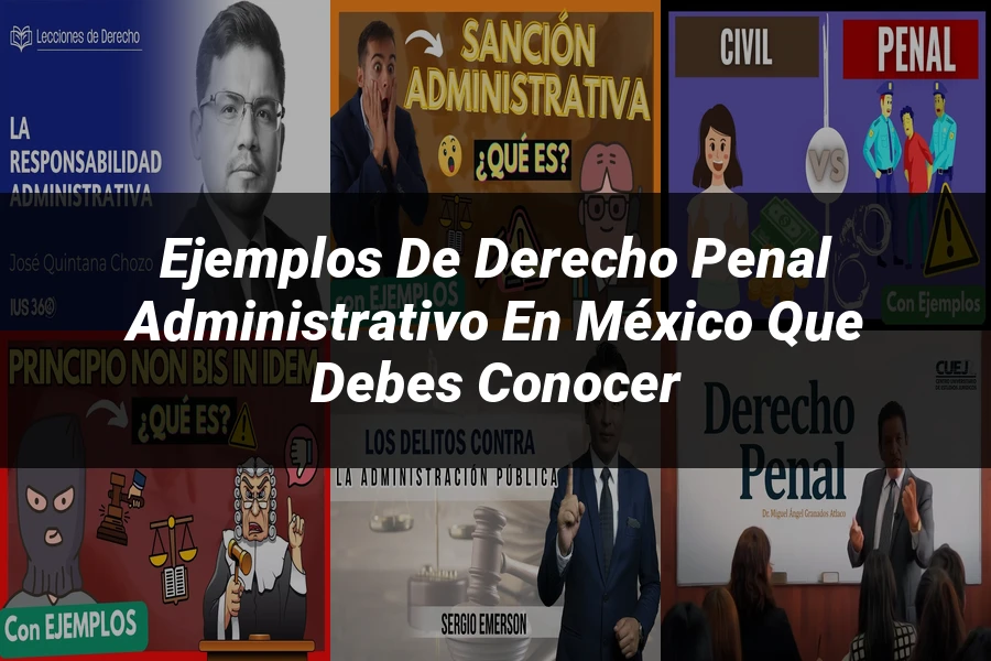 "Ejemplos de derecho penal administrativo en México que debes conocer"