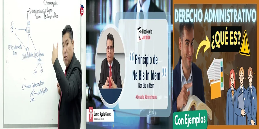 "Ejemplos de derecho penal administrativo en México que debes conocer"