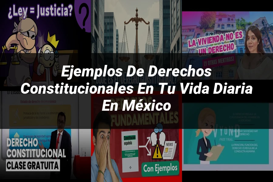 "Ejemplos de derechos constitucionales en tu vida diaria en México"