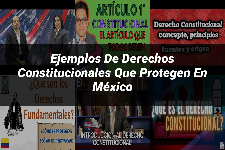 "Ejemplos de derechos constitucionales que protegen en México"