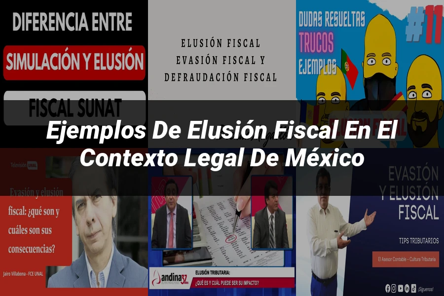 "Ejemplos de elusión fiscal en el contexto legal de México"