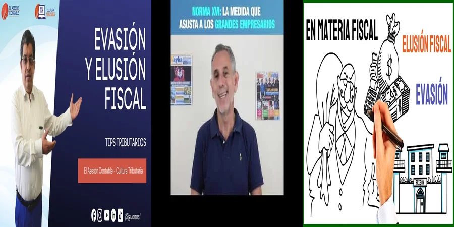 "Ejemplos de elusión fiscal en el contexto legal de México"