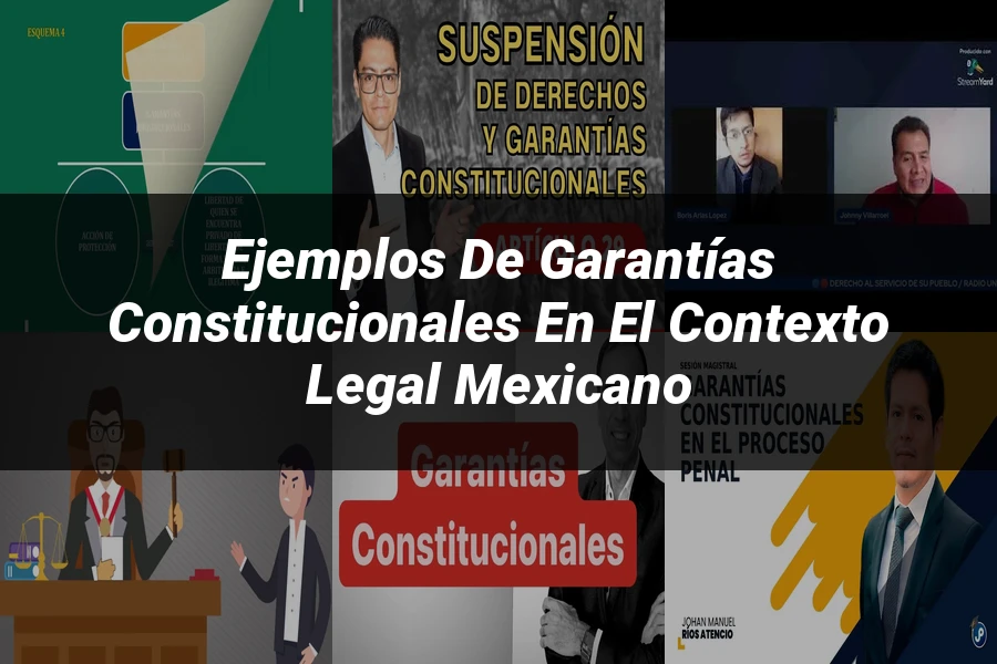 "Ejemplos de garantías constitucionales en el contexto legal mexicano"