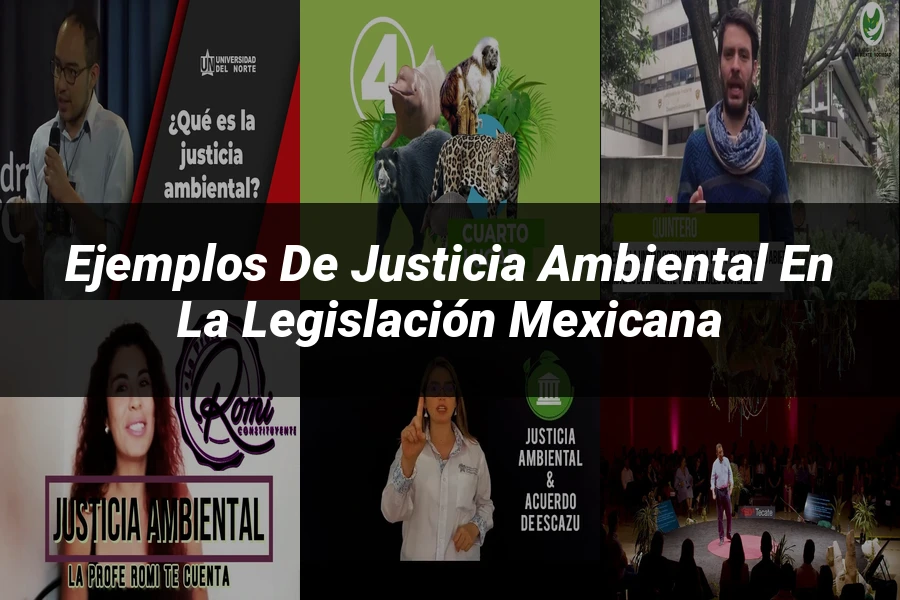 "Ejemplos de justicia ambiental en la legislación mexicana"
