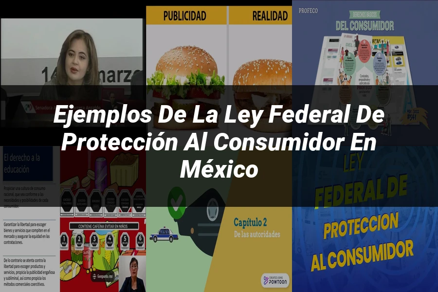 "Ejemplos de la Ley Federal de Protección al Consumidor en México"