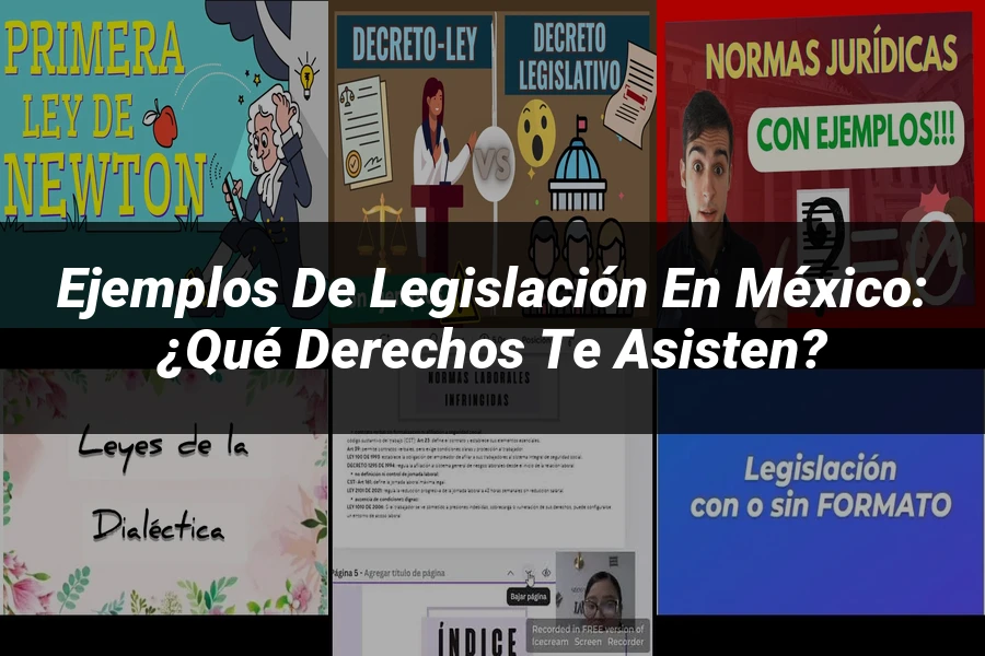 "Ejemplos de legislación en México: ¿Qué derechos te asisten?"