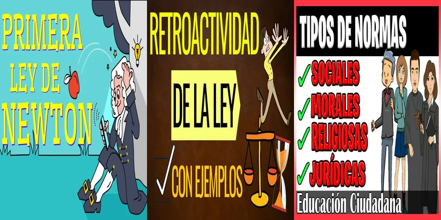 "Ejemplos de legislación en México: ¿Qué derechos te asisten?"