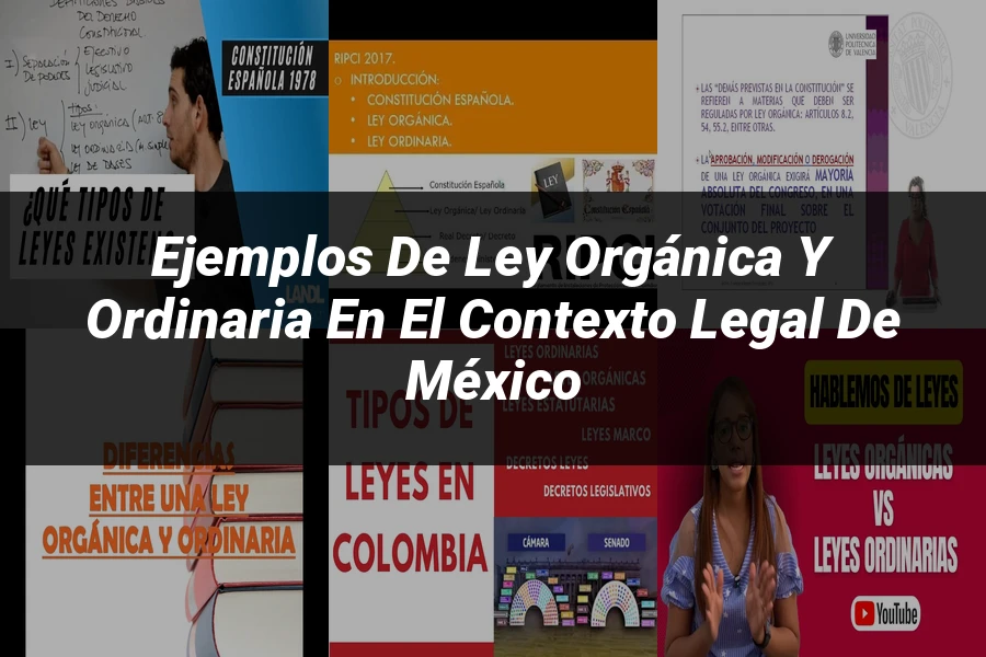 "Ejemplos de ley orgánica y ordinaria en el contexto legal de México"