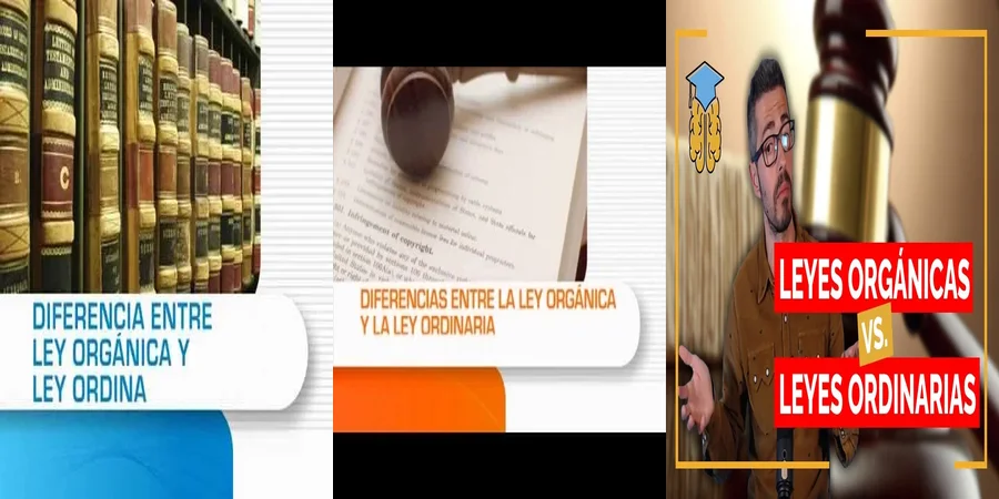 "Ejemplos de ley orgánica y ordinaria en el contexto legal de México"