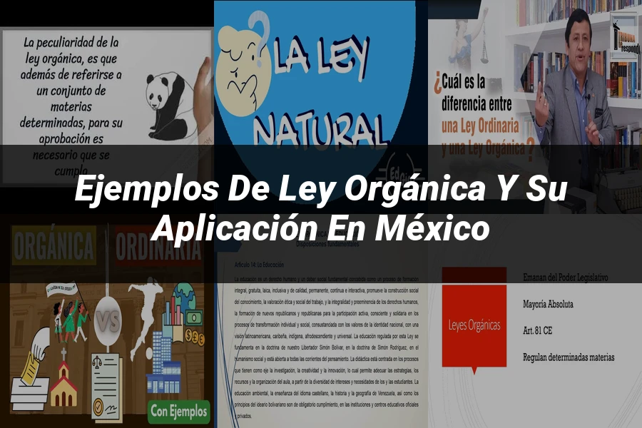 "Ejemplos de ley orgánica y su aplicación en México"