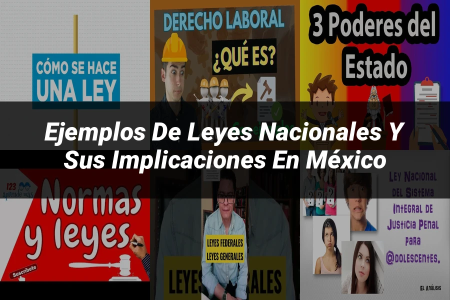 "Ejemplos de leyes nacionales y sus implicaciones en México"