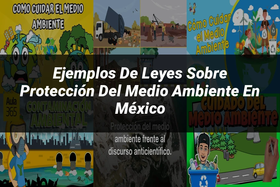 "Ejemplos de leyes sobre protección del medio ambiente en México"