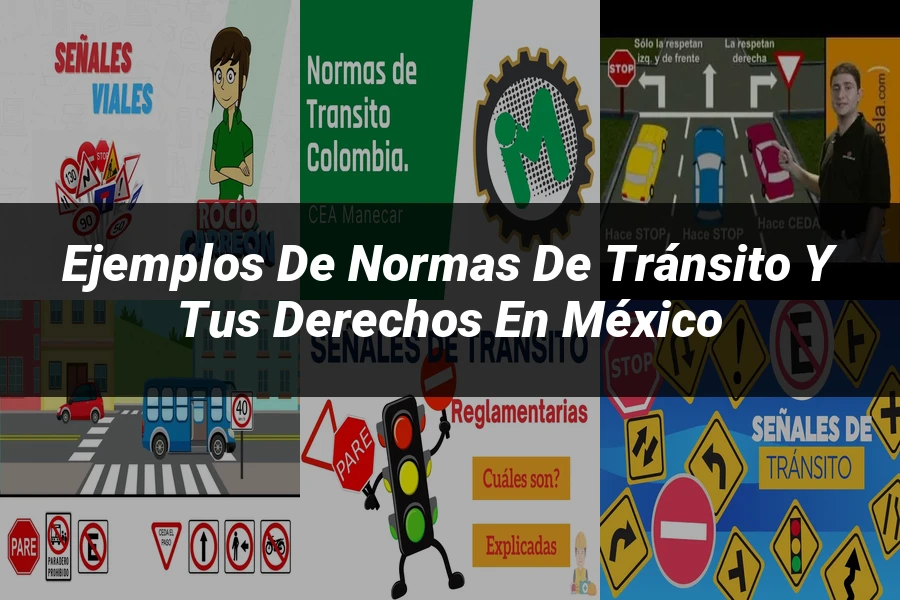 "Ejemplos de normas de tránsito y tus derechos en México"