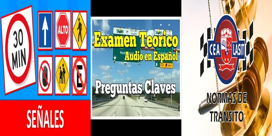 "Ejemplos de normas de tránsito y tus derechos en México"