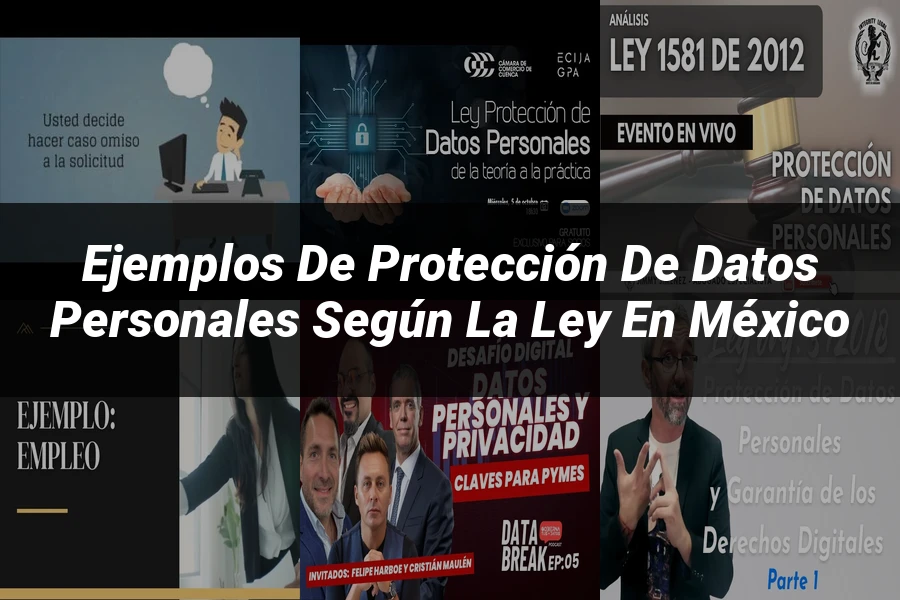 "Ejemplos de protección de datos personales según la ley en México"
