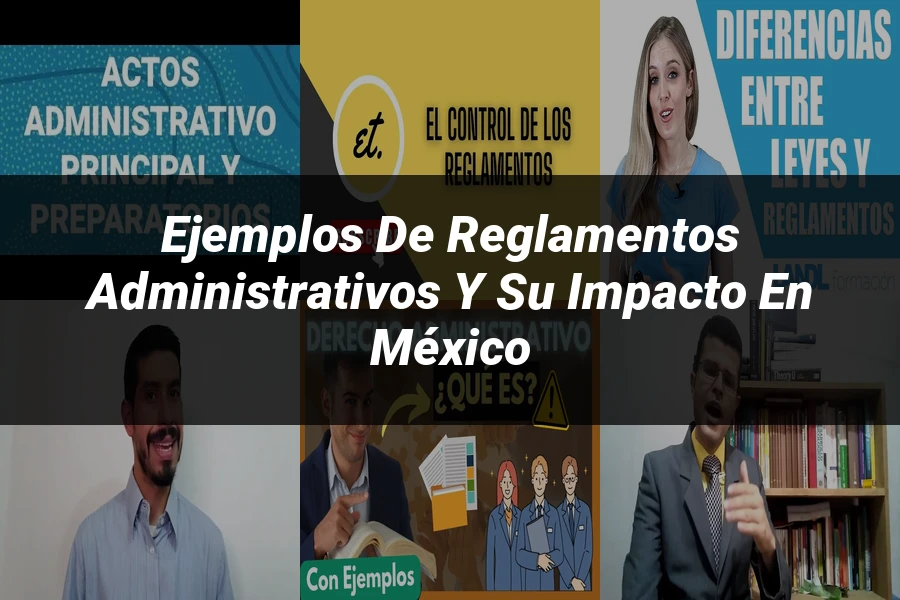 "Ejemplos de reglamentos administrativos y su impacto en México"