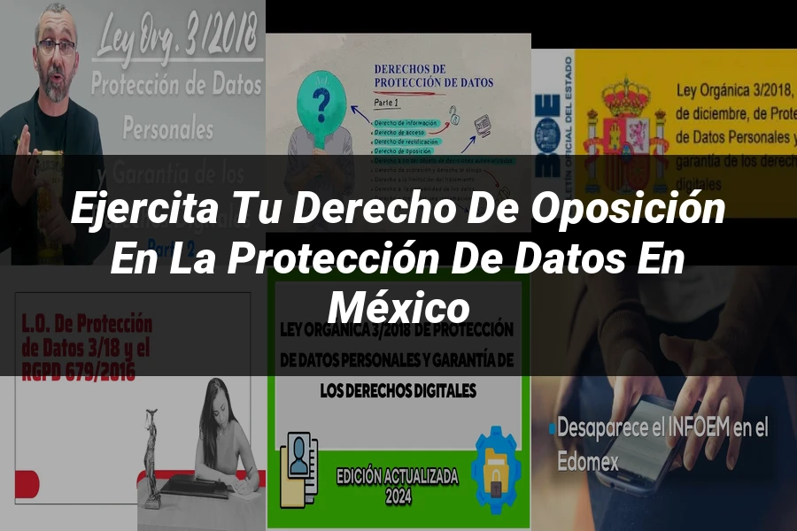 "Ejercita tu Derecho de Oposición en la Protección de Datos en México"