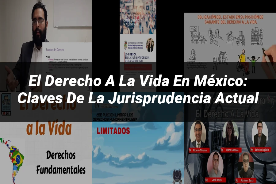 "El Derecho a la Vida en México: Claves de la Jurisprudencia Actual"