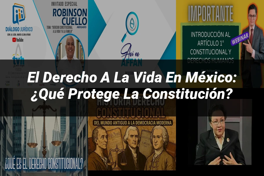 "El Derecho a la Vida en México: ¿Qué Protege la Constitución?"
