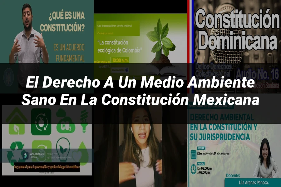 "El Derecho a un Medio Ambiente Sano en la Constitución Mexicana"