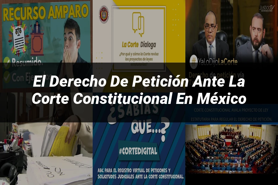 "El Derecho de Petición ante la Corte Constitucional en México"