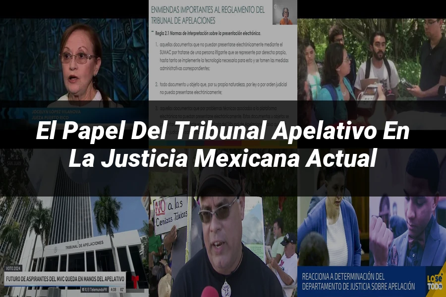 "El Papel del Tribunal Apelativo en la Justicia Mexicana Actual"