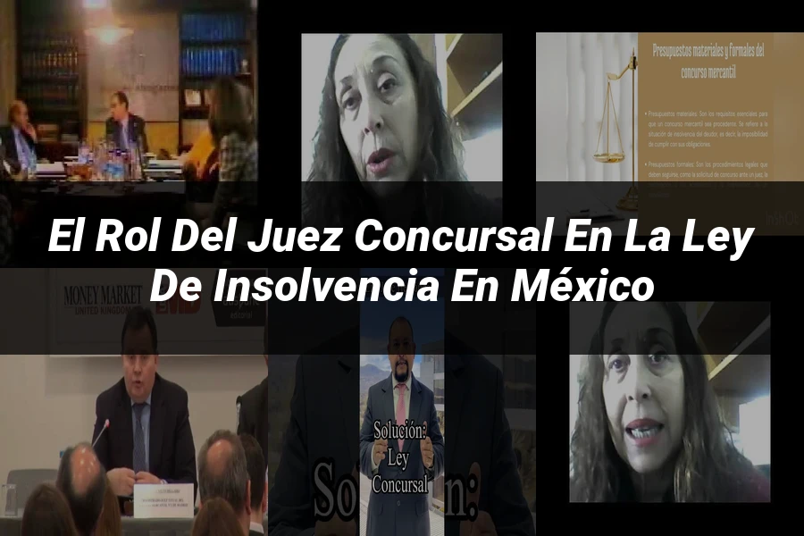 "El Rol del Juez Concursal en la Ley de Insolvencia en México"