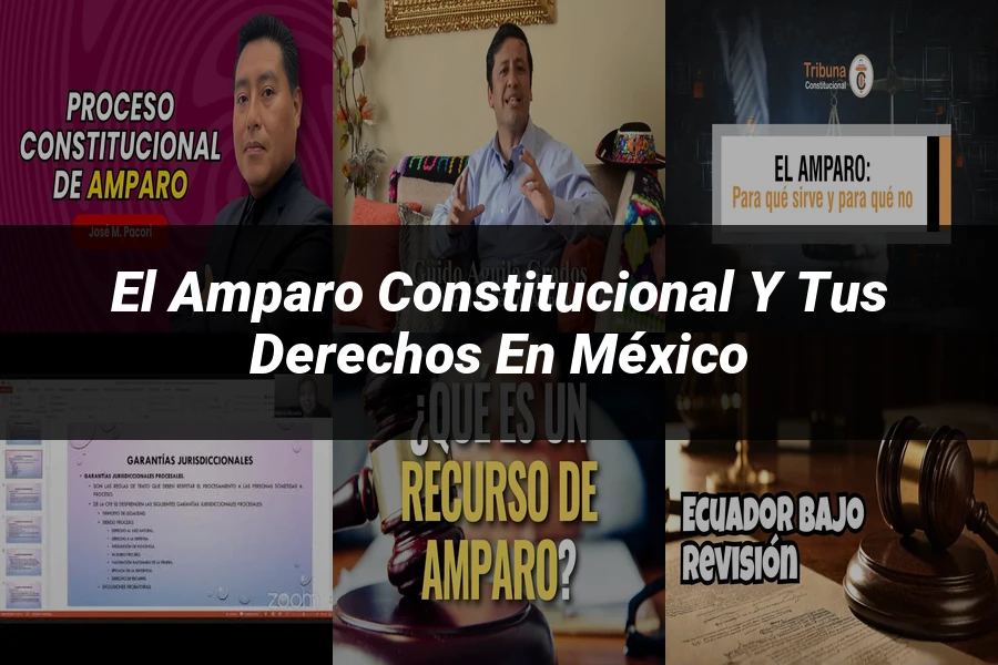 "El amparo constitucional y tus derechos en México"