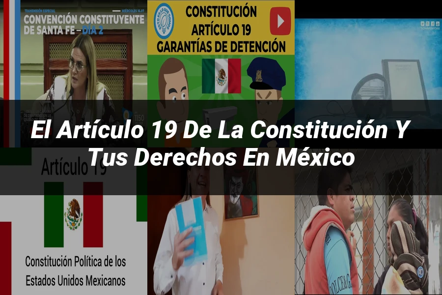 "El artículo 19 de la Constitución y tus derechos en México"