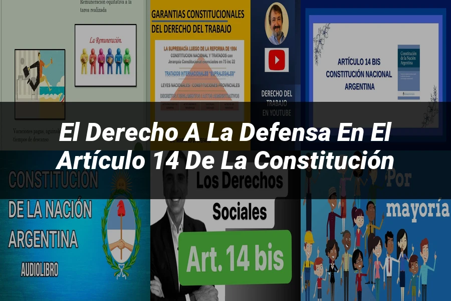 "El derecho a la defensa en el artículo 14 de la Constitución"