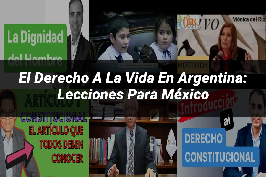 "El derecho a la vida en Argentina: lecciones para México"
