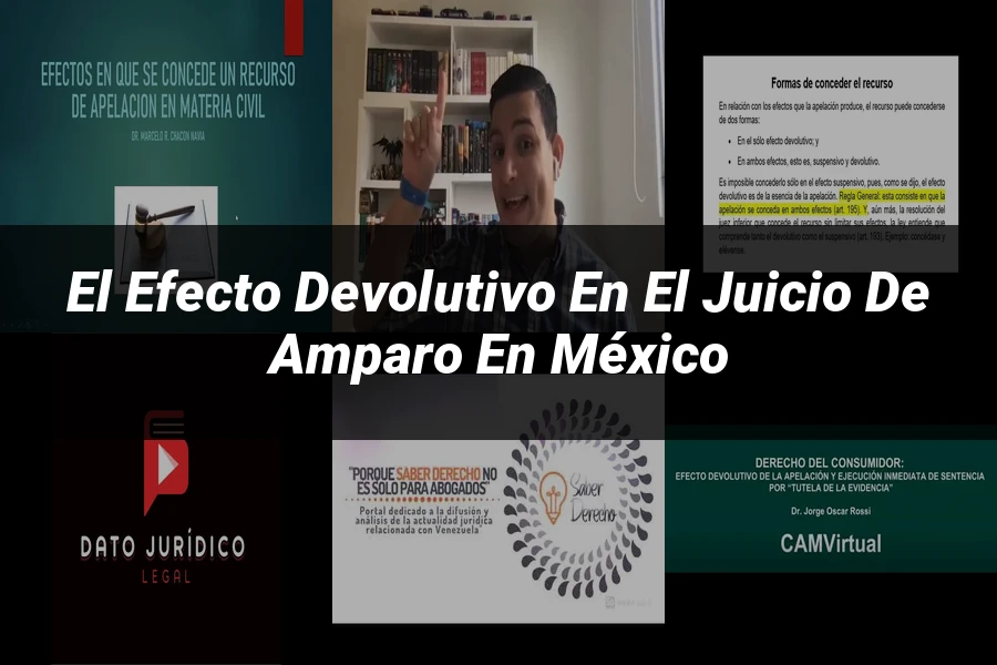 "El efecto devolutivo en el juicio de amparo en México"