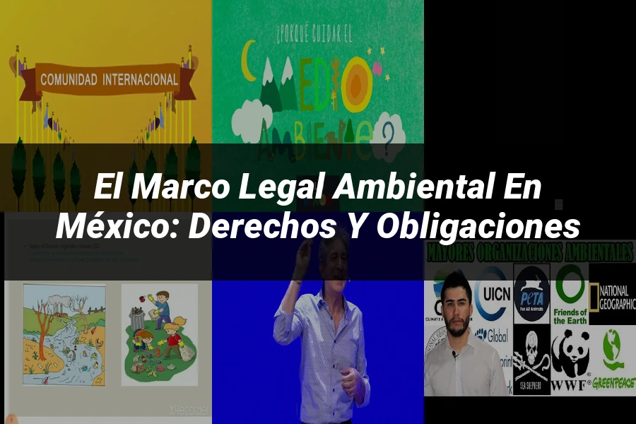 "El marco legal ambiental en México: derechos y obligaciones"