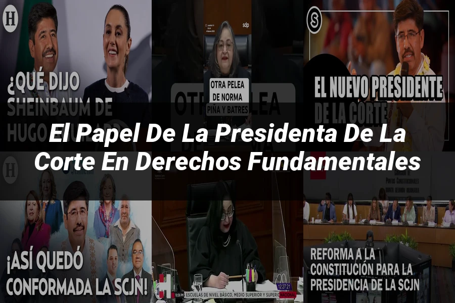 "El papel de la presidenta de la corte en derechos fundamentales"