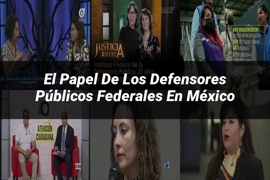 "El papel de los defensores públicos federales en México"