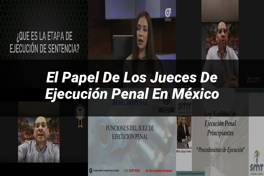 "El papel de los jueces de ejecución penal en México"