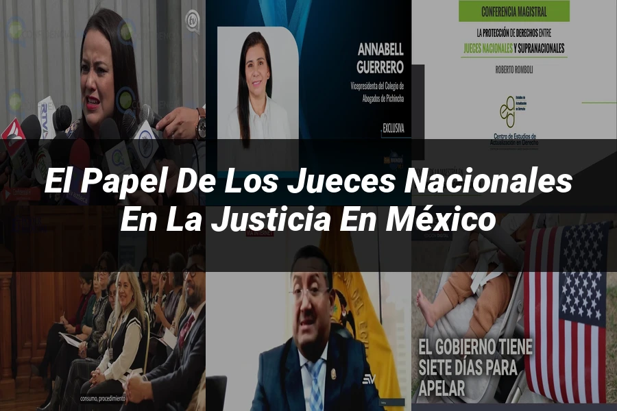 "El papel de los jueces nacionales en la justicia en México"