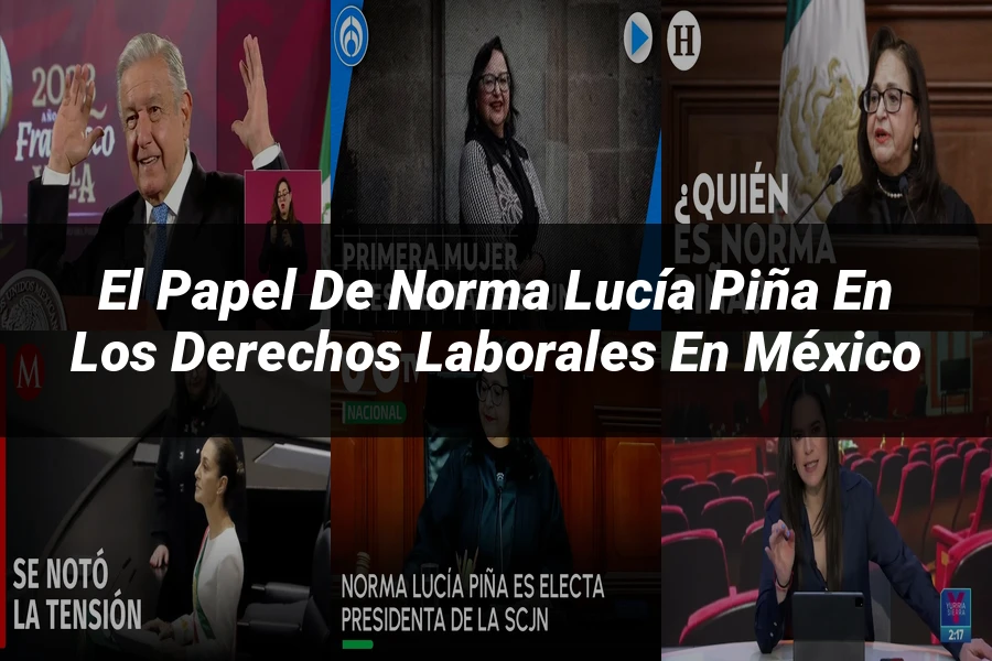 "El papel de norma lucía piña en los derechos laborales en México"
