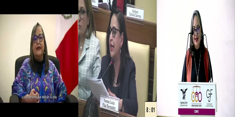 "El papel de norma lucía piña en los derechos laborales en México"