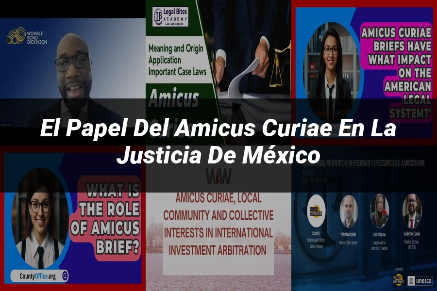 "El papel del amicus curiae en la justicia de México"