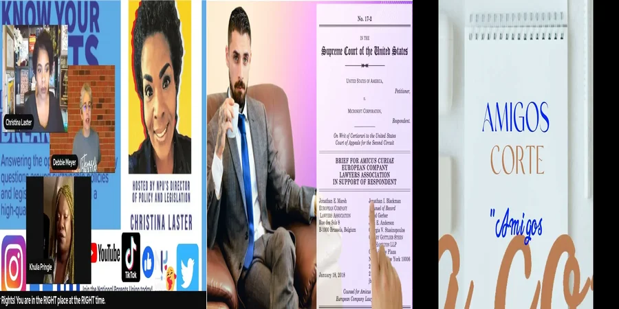 "El papel del amicus curiae en la justicia de México"