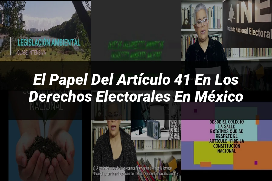 "El papel del artículo 41 en los derechos electorales en México"