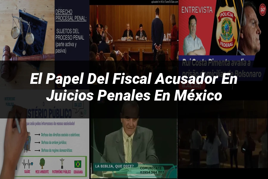 "El papel del fiscal acusador en juicios penales en México"